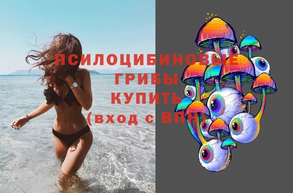 индика Зерноград