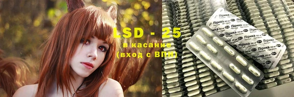 индика Зерноград